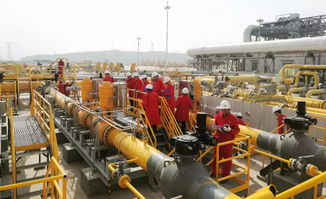 這家閥門公司兩套調壓裝置關鍵閥門成功通過中油管道公司現場工業(yè)性試驗驗收